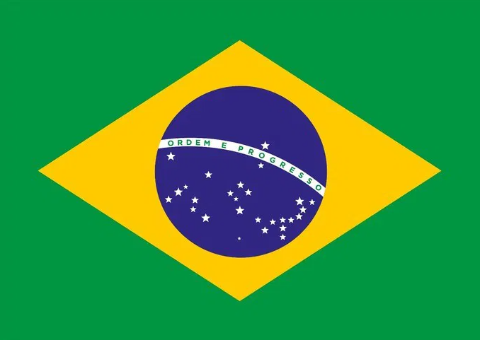 Official Flag of brasil